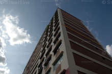Blk 255 Bangkit Road (Bukit Panjang), HDB 5 Rooms #222812